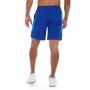Meteor Workout Short